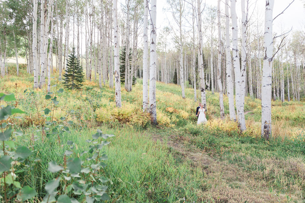 Bride and groom pose among a forest of birch trees