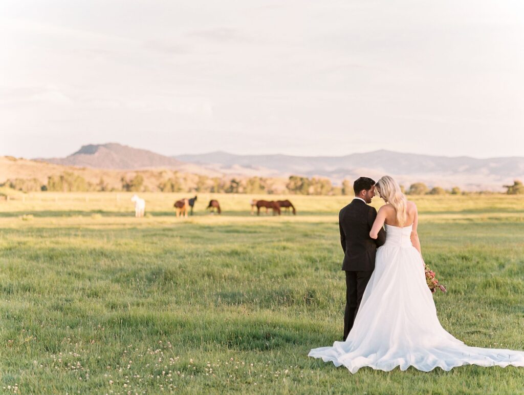 Brush Creek Ranch wedding portrait with horses and mountains in the distance